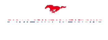 American Icon logo